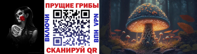 Псилоцибиновые грибы прущие грибы  Купить  Харабали 